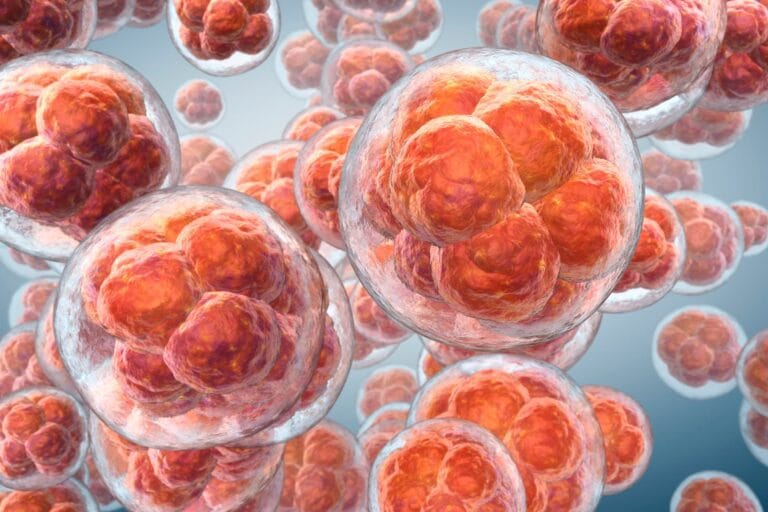 mitochondrial biogenesis