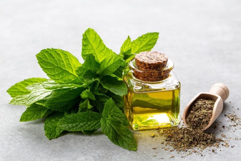 best vitamins for respiratory infection