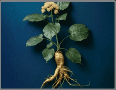 How to Increase Nitric Oxide Naturally