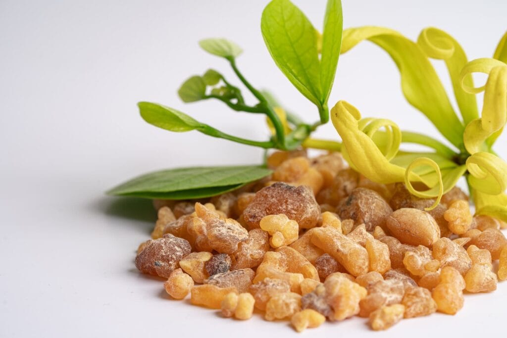 inflammation of the joints