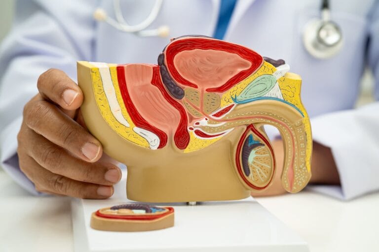 How to Increase Nitric Oxide Naturally