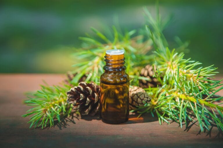 inflammation of the joints